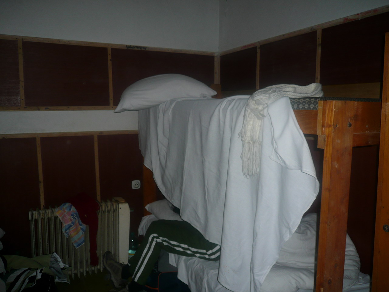 P1040856.jpg