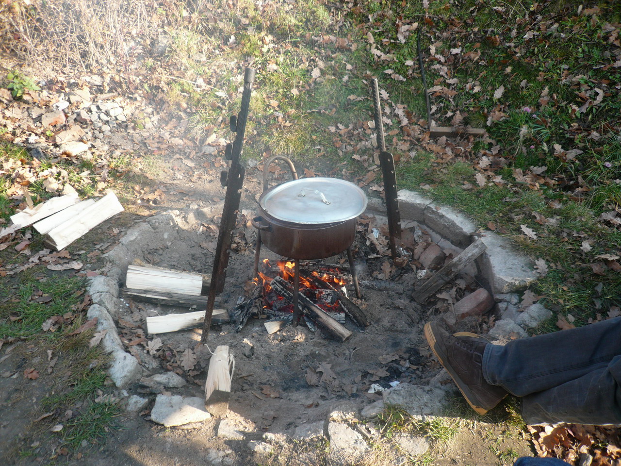 P1040885.jpg