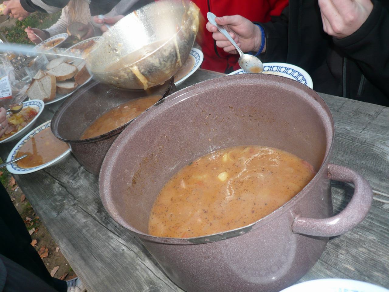 P1040903.jpg